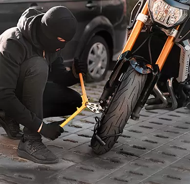 Bảo vệ, chống trộm